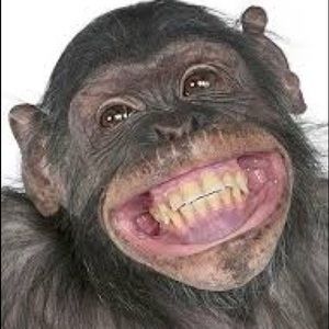 Meet your Posher, Emmanuel